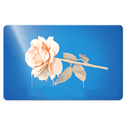 luckyprint karty plastikowe